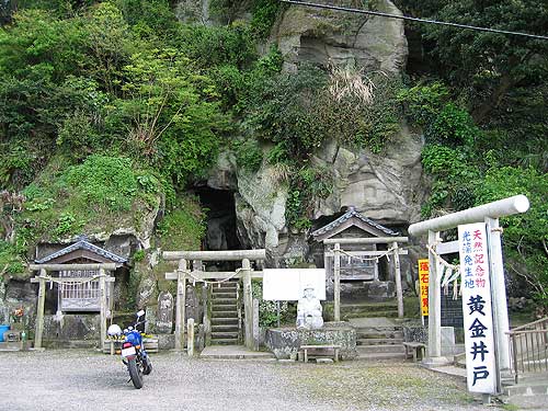 竹岡のヒカリモ　天然記念物