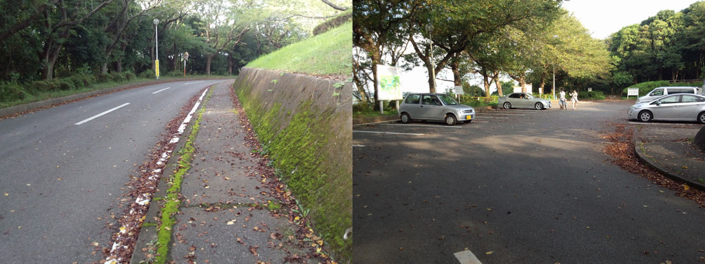 印旛沼公園　駐車場