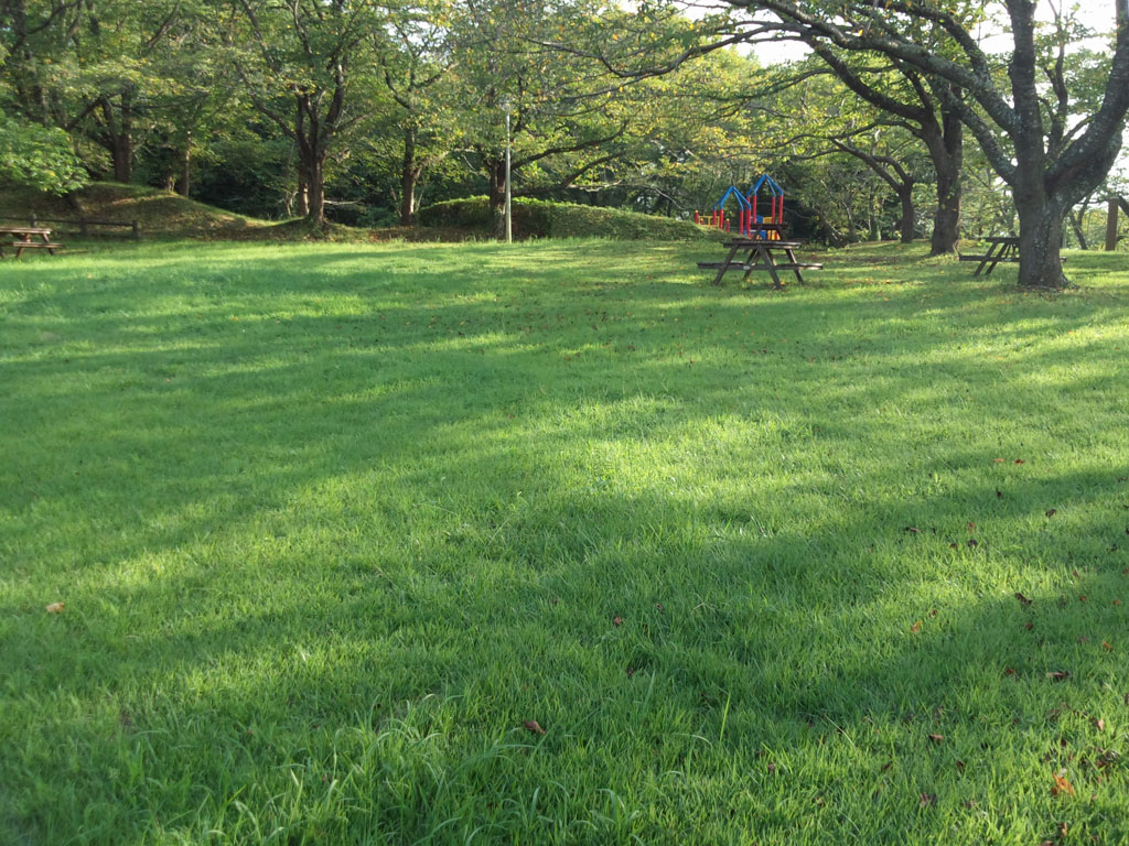 印旛沼公園　芝生広場