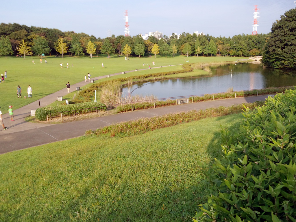 池と広場