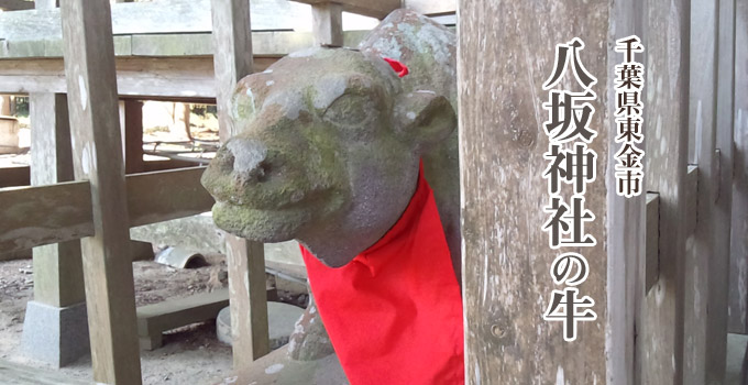八坂神社の牛