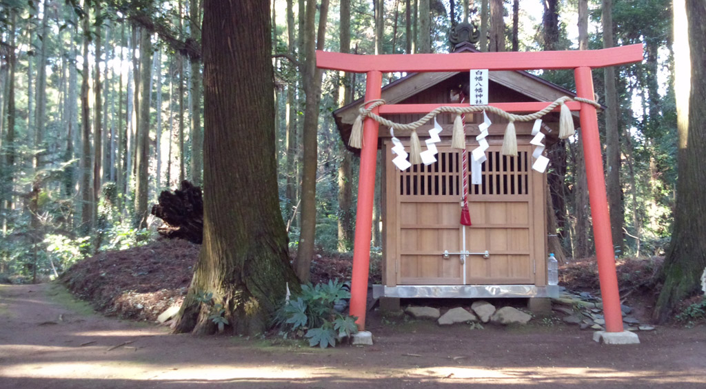 白幡八幡神社