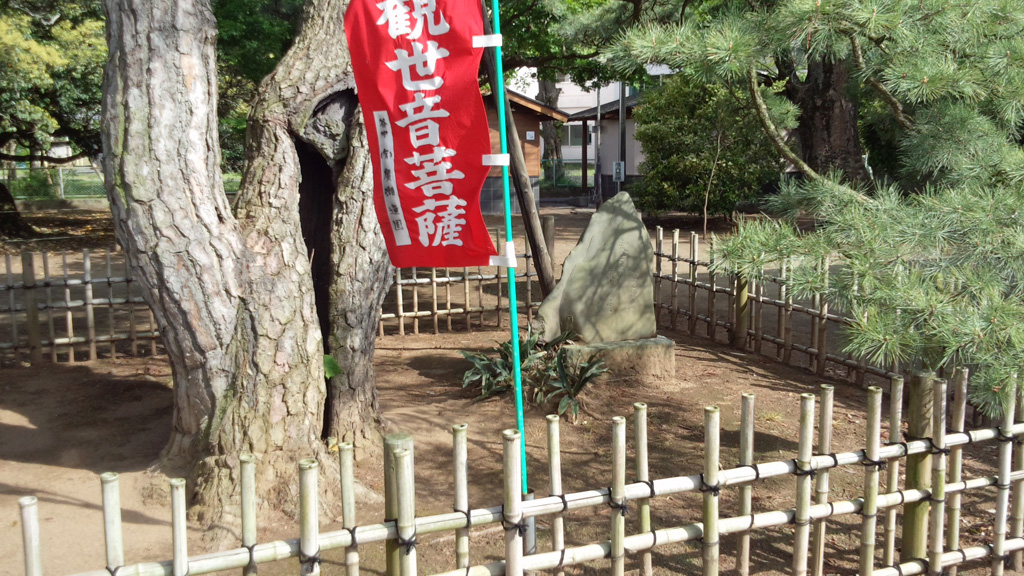 夫婦松、芭蕉の句碑