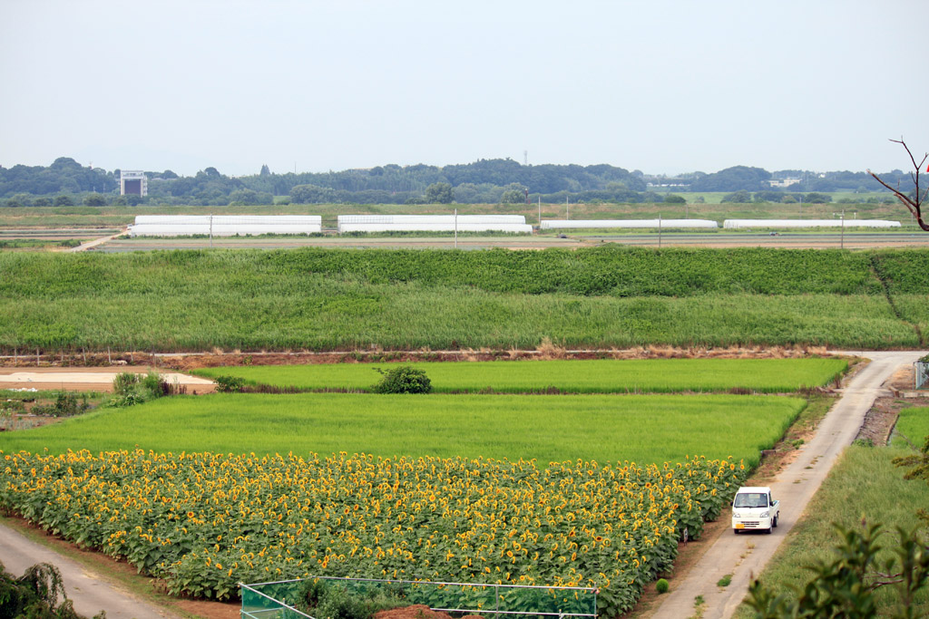 田園風景