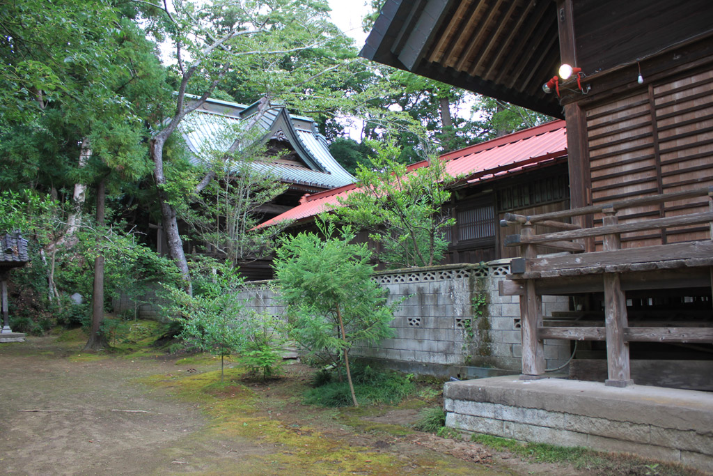 橘樹神社 本殿