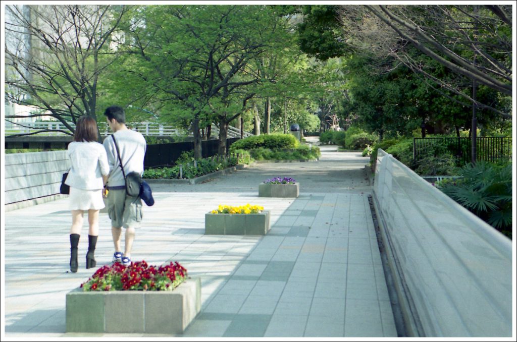 中央公園の歩道橋