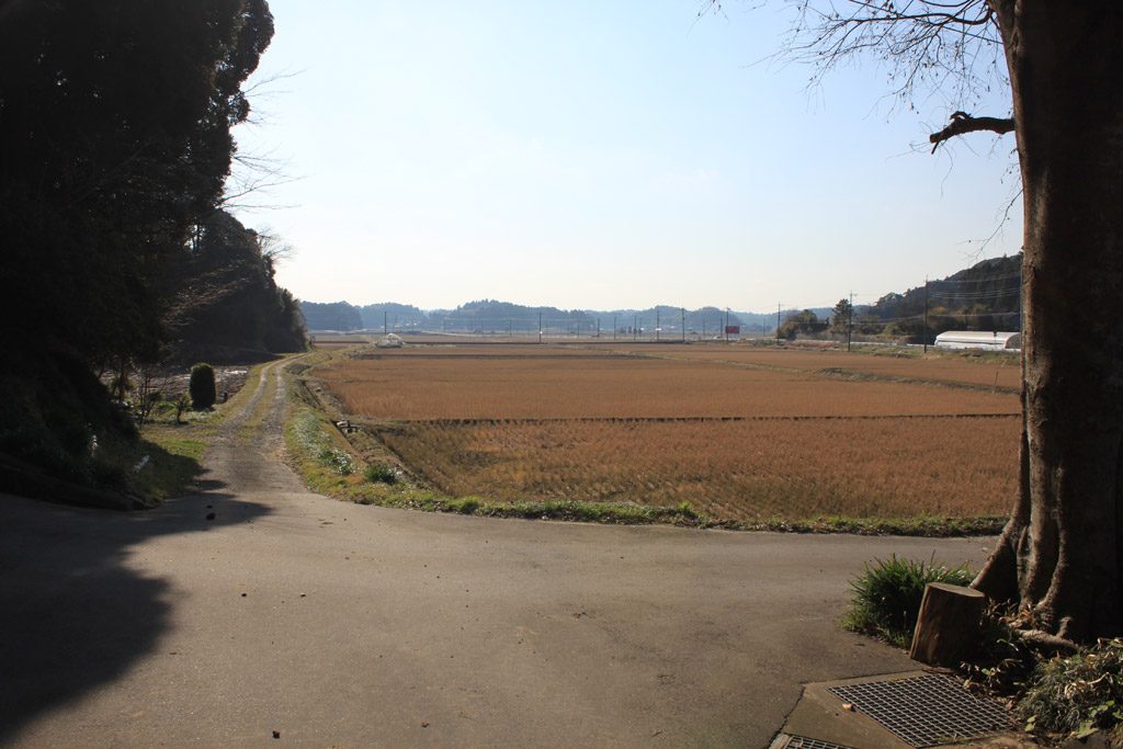 田園風景