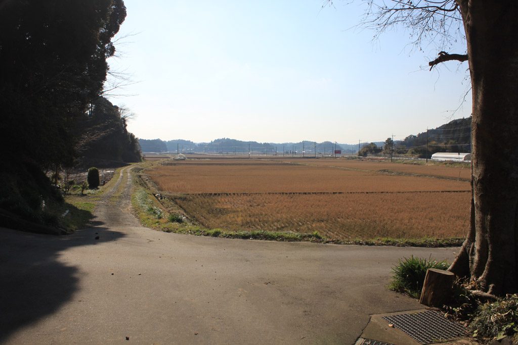 田園風景