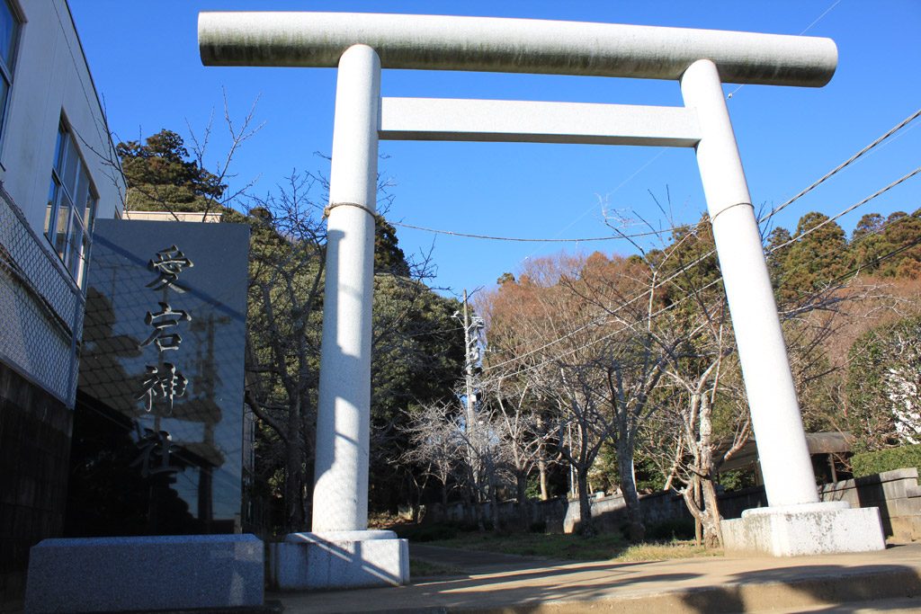 鳥居と社号票