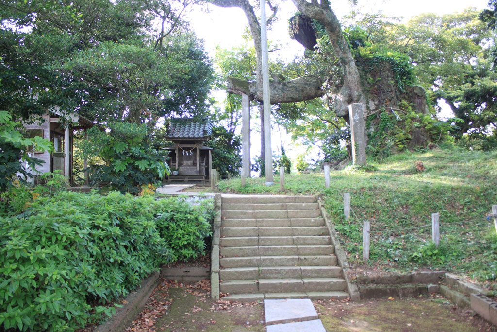 宇賀神社社殿と府馬の大クス