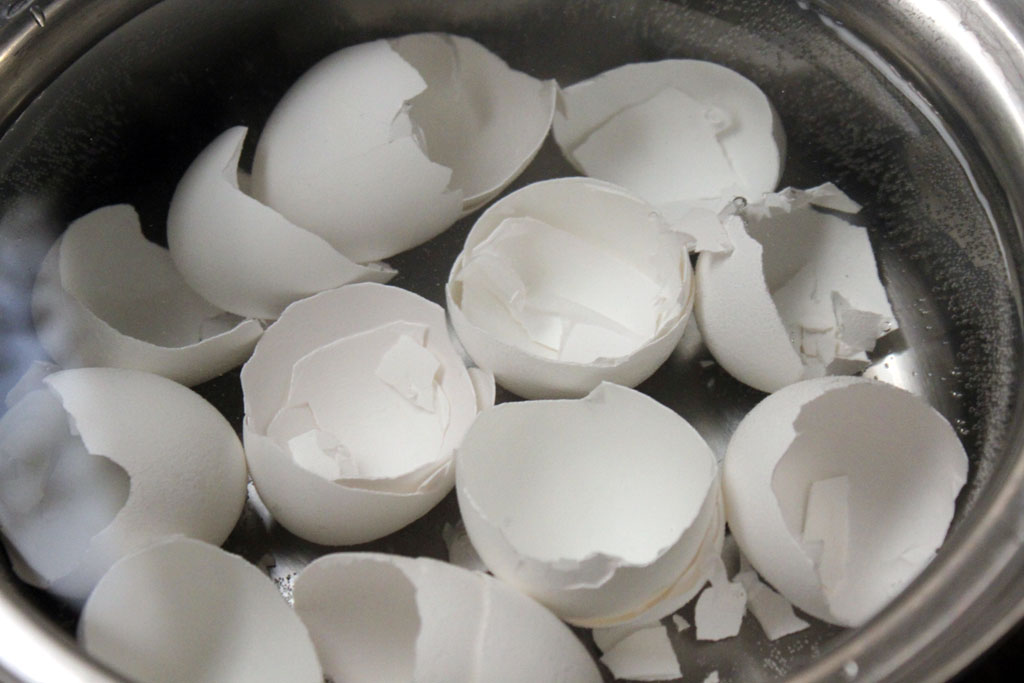 エコ 卵の殻で作る手作りカルシウムサプリメント