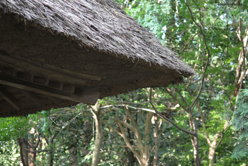 茅葺き屋根