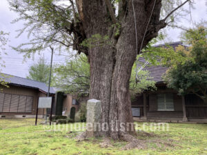 西福寺（谷田）