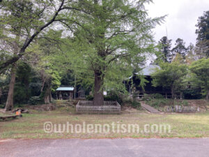 多聞院（松崎）