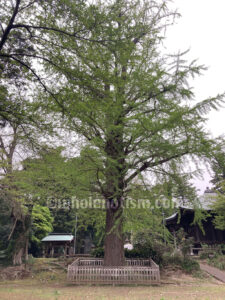 多聞院（松崎）