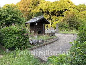 吉祥院（白幡）