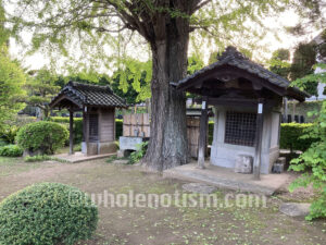 泉倉寺（和泉）