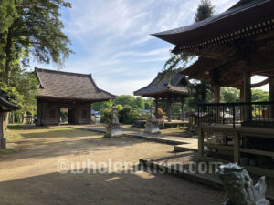 熊野神社（別所地蔵堂）