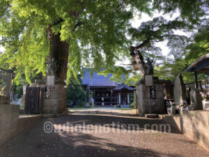 東大寺（平岡）