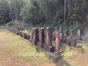 泉福寺 薬師堂（岩戸）