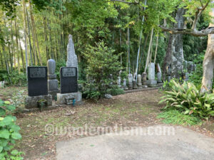 円天寺（山田）