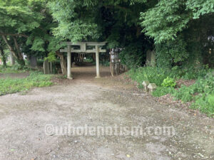 兵主八幡神社