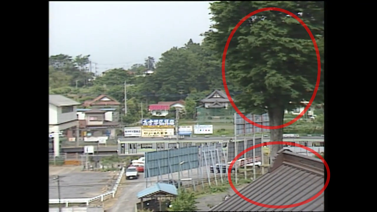 樹木と屋根が一致